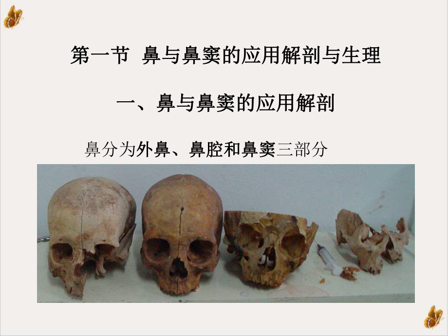 耳鼻喉的生理解剖讲课教学课件.ppt_第3页