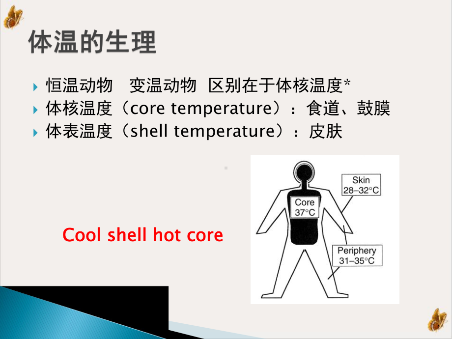 麻醉期间的体温管理教学课件1.pptx_第1页