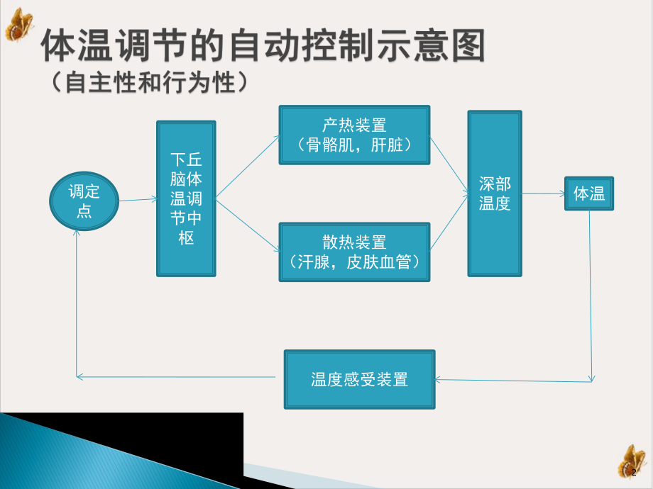 麻醉期间的体温管理教学课件1.pptx_第2页