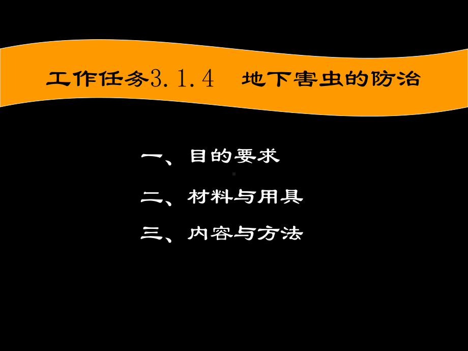 地下害虫的防治教学课件.ppt_第2页