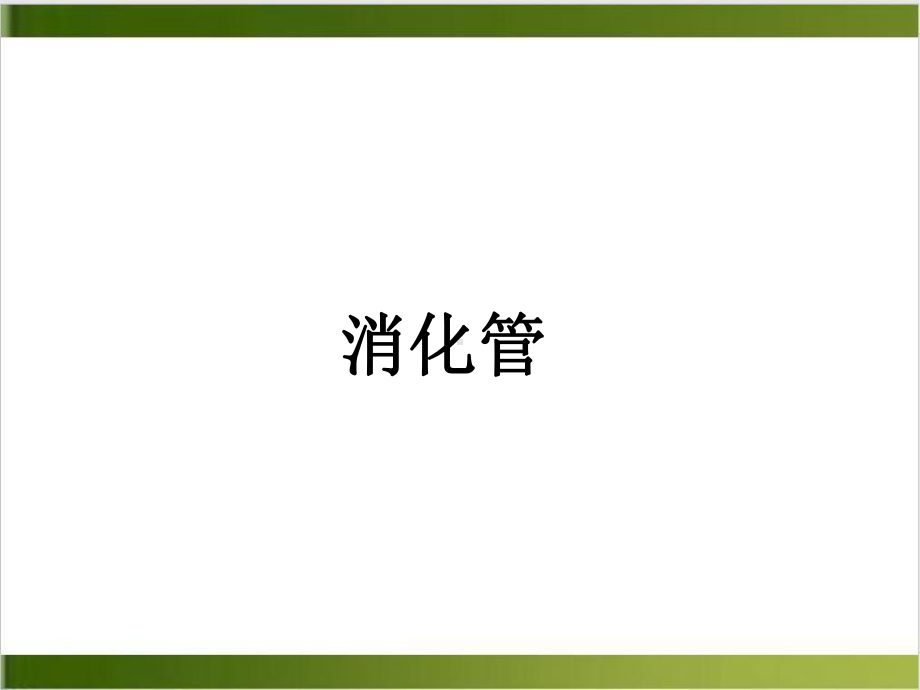 组织学与胚胎学切片图培训讲义教学课件.ppt_第3页