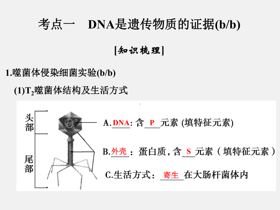 (浙江专用)高考生物-总复习-第四单元-遗传的分子基础-第12讲-核酸是遗传物质的证据课件.ppt_第2页