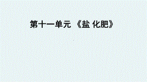 2021年人教版化学中考复习教材梳理-《盐-化肥》课件.ppt