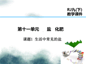 2019届九年级化学下册第11单元盐化肥课题1生活中常见的盐课件新版新人教版.ppt