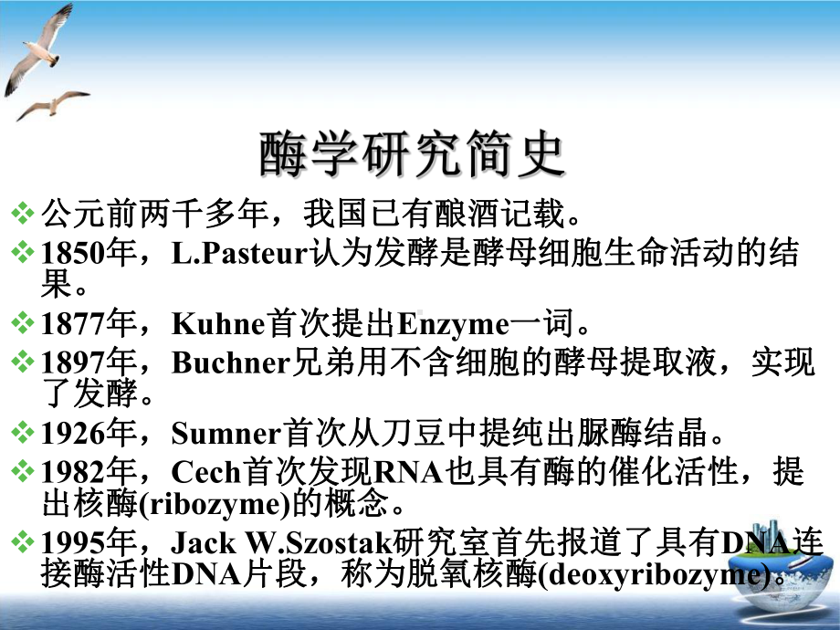 第三章酶第八本科药学本科优质教学课件.ppt_第3页