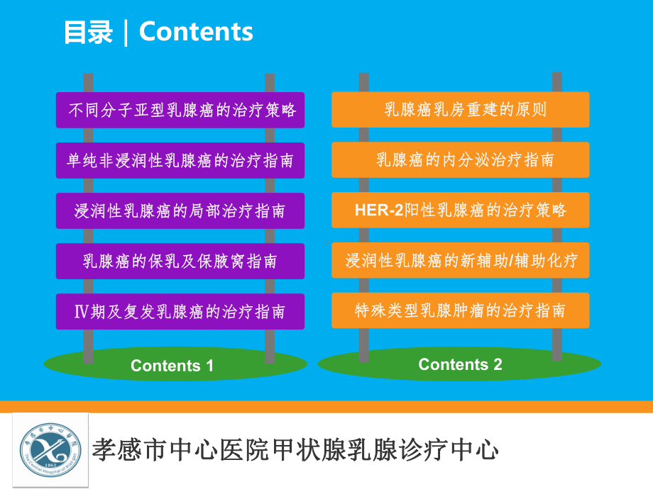 辅助内分泌治疗±辅助化疗-曲妥珠单抗教学课件.ppt_第3页