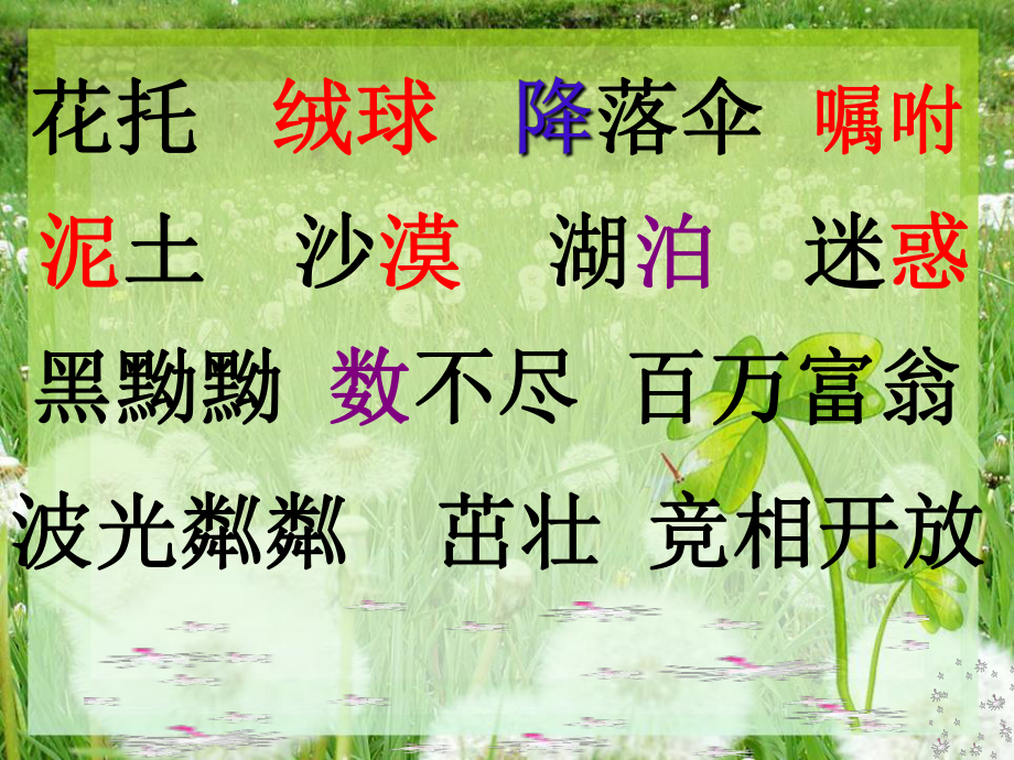 (课堂教学课件3)蒲公英.ppt_第2页