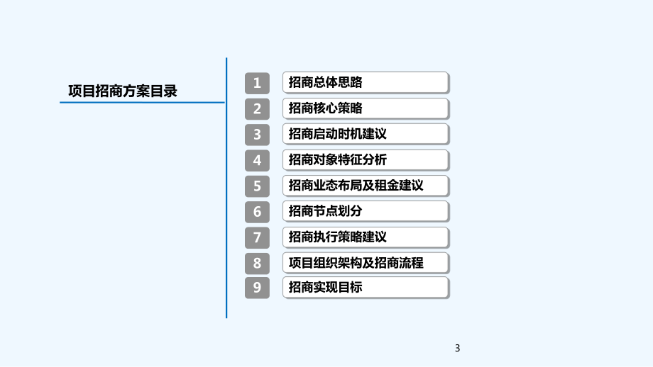 辽宁某商业中心项目招商执行方案教学课件.ppt_第3页