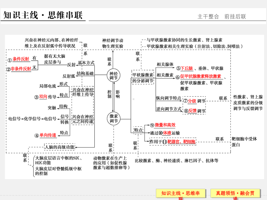 (浙江专用)高考生物-二轮复习-第四单元-专题一-神经调节和体液调节课件.ppt_第2页