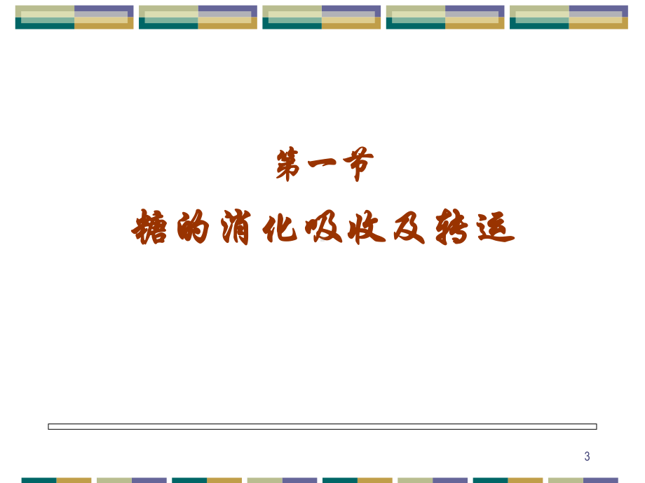 糖代谢1教学讲解教学课件.pptx_第3页