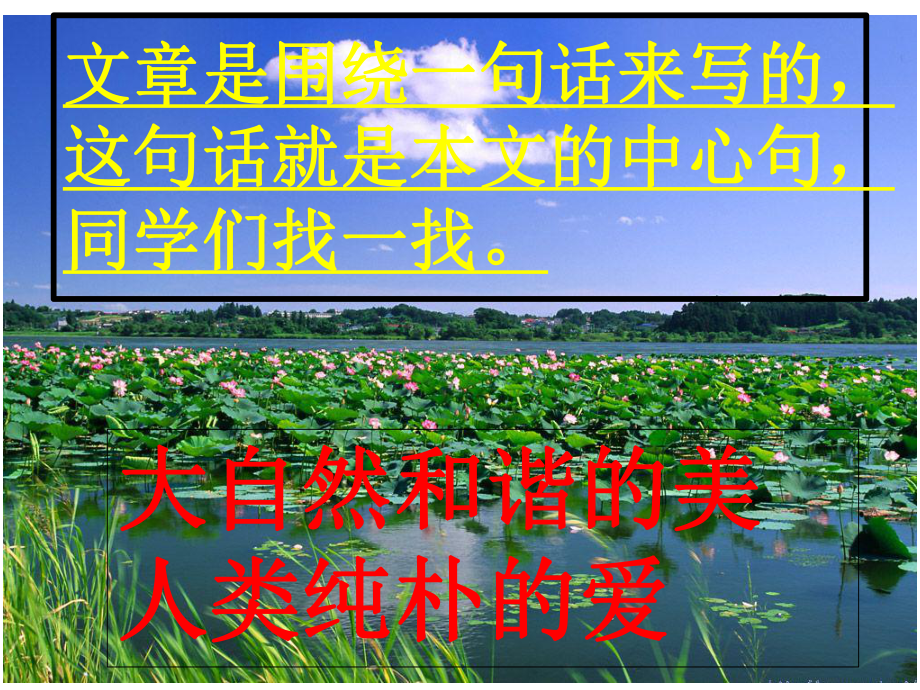 (课堂教学课件)荷塘旧事.ppt_第3页