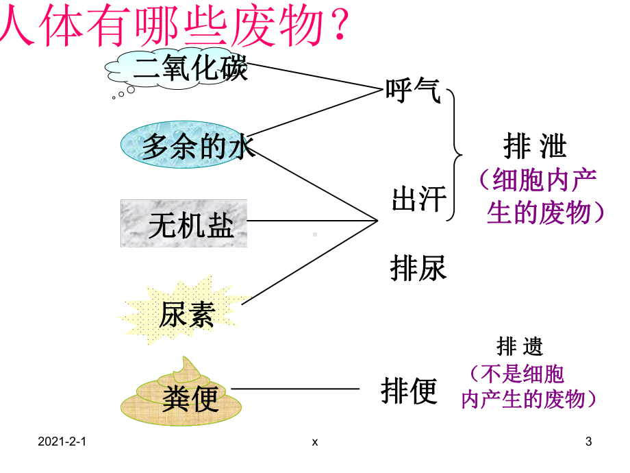 第五章人体内废物的排出教学课件.ppt_第3页