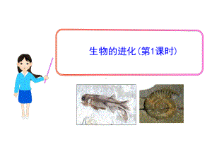 14-生物的进化课件浙教版九年级科学下册.ppt