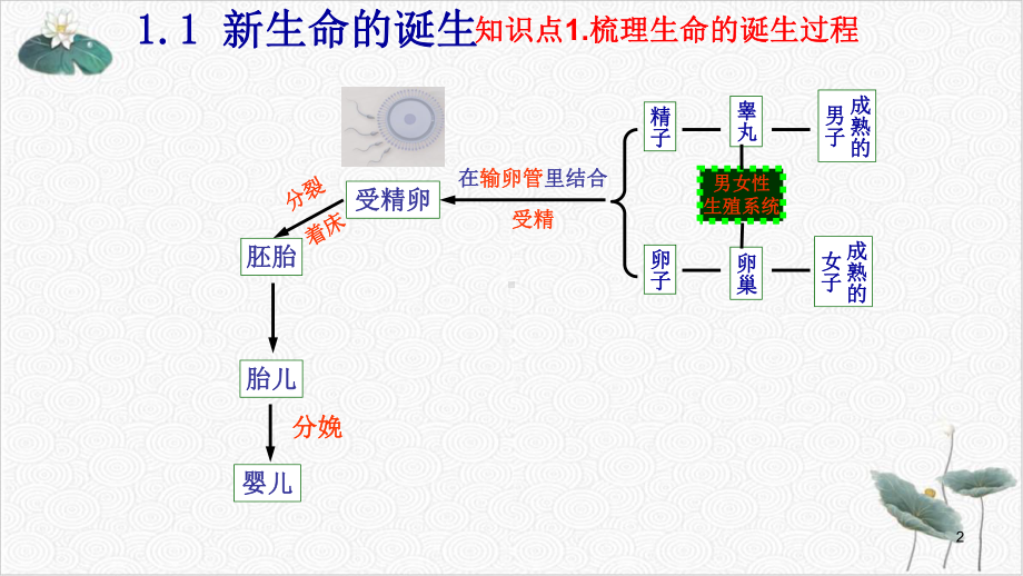 代代相传的生命复习综合浙教版七级科学下册备考复习教学课件.pptx_第2页