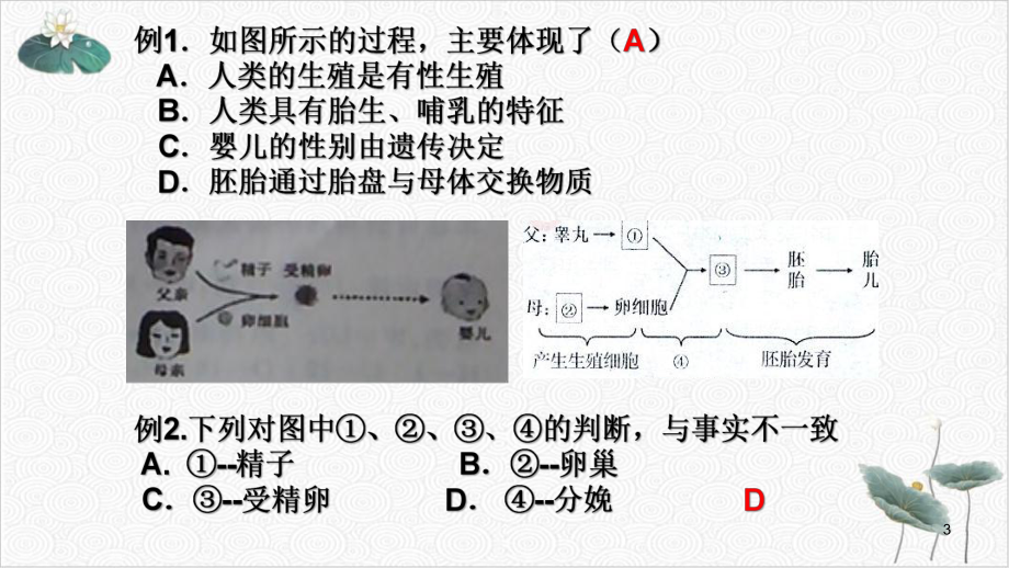 代代相传的生命复习综合浙教版七级科学下册备考复习教学课件.pptx_第3页