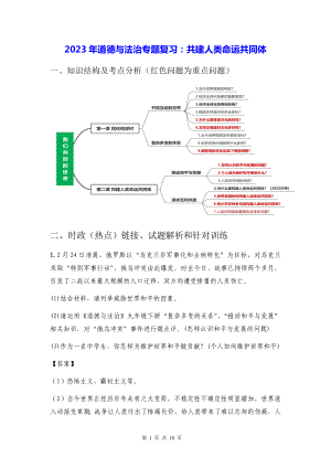 2023年道德与法治专题复习：共建人类命运共同体.docx