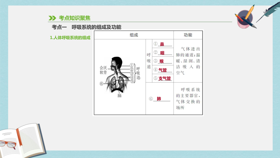 2019年中考生物专题复习四生物圈中的人第13课时人体的呼吸课件新人教版.pptx_第2页