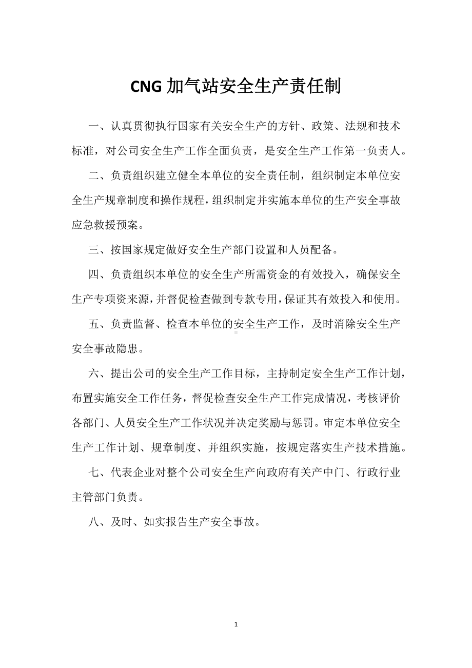 CNG加气站安全生产责任制模板范本.docx_第1页