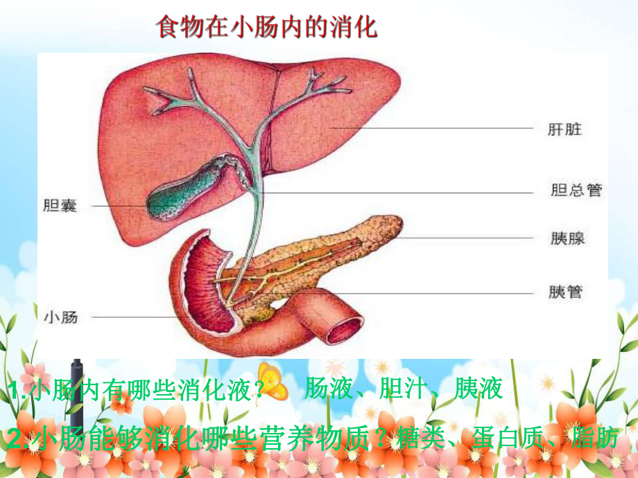 2022年冀教初中生物七下《营养物质的吸收和利用》公开课课件4.ppt_第3页