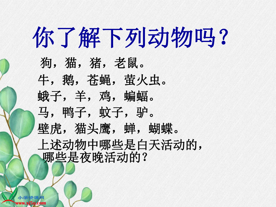 2022年鄂教版小学科学六上《一天中的动植物》公开课课件2.ppt_第2页