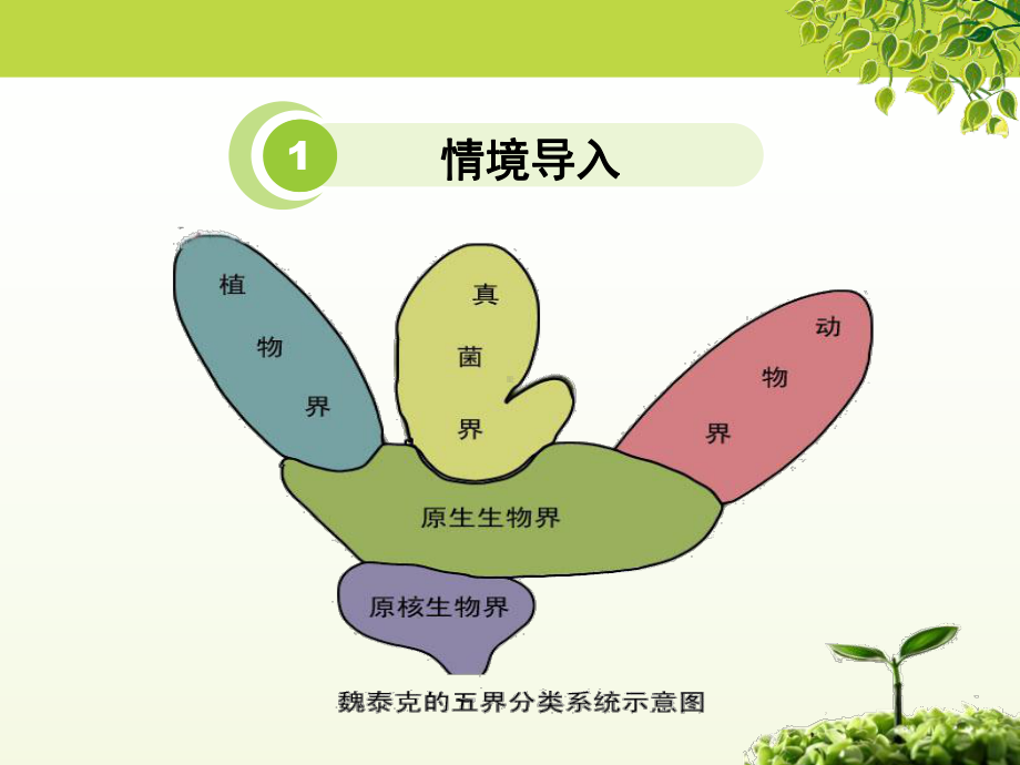 《原生生物的主要类群》(最新)课件.pptx_第2页