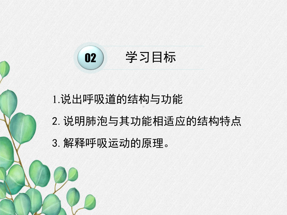 2022年济南初中生物七下《人体与外界的气体交换》公开课课件4.ppt_第2页