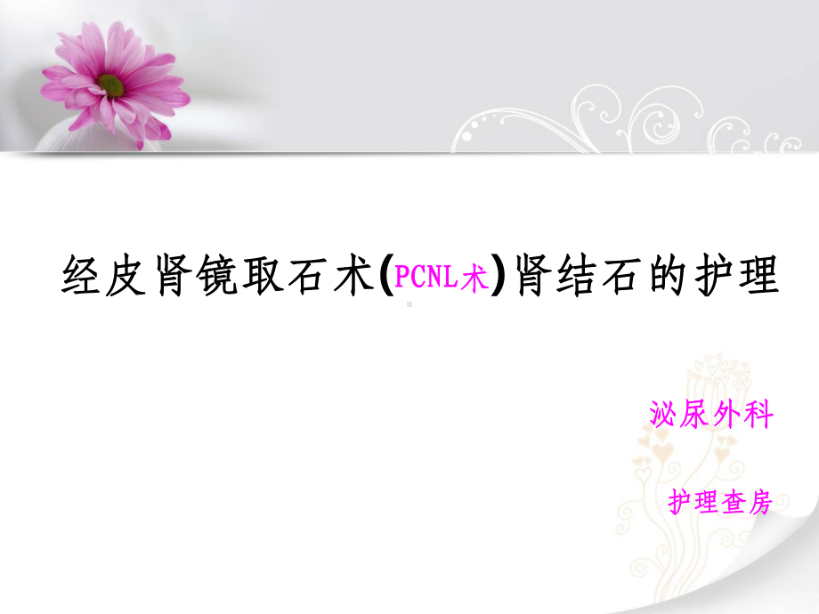 CNL术肾结石的护理课件.ppt_第1页