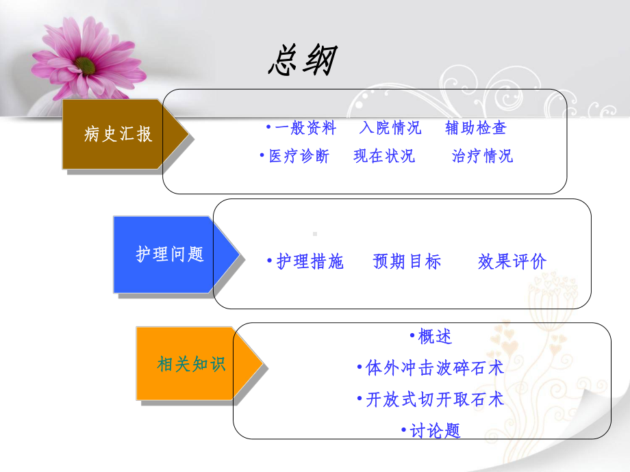 CNL术肾结石的护理课件.ppt_第2页