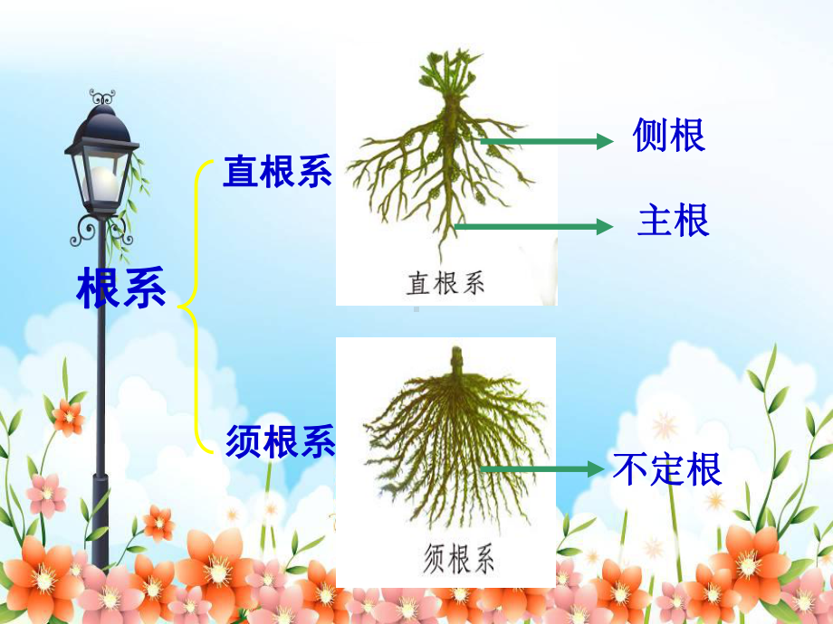 2022年冀教初中生物七上《在实验室里观察植物》公开课课件2.ppt_第2页