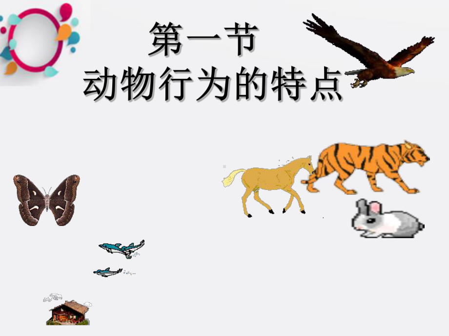 《动物行为的特点》课件.ppt_第1页