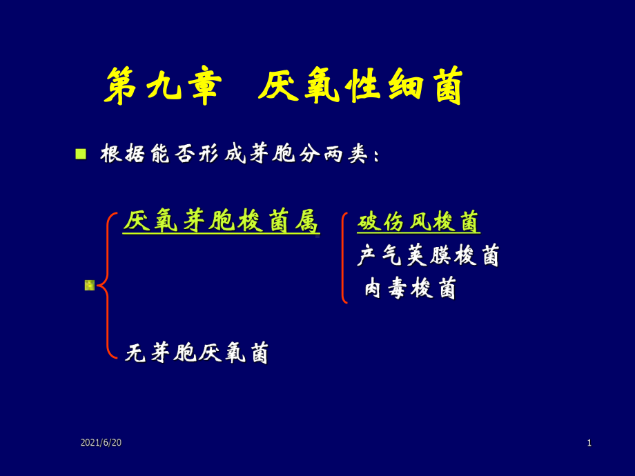 《医学微生物学》第9章-厌氧性细菌课件.ppt_第1页