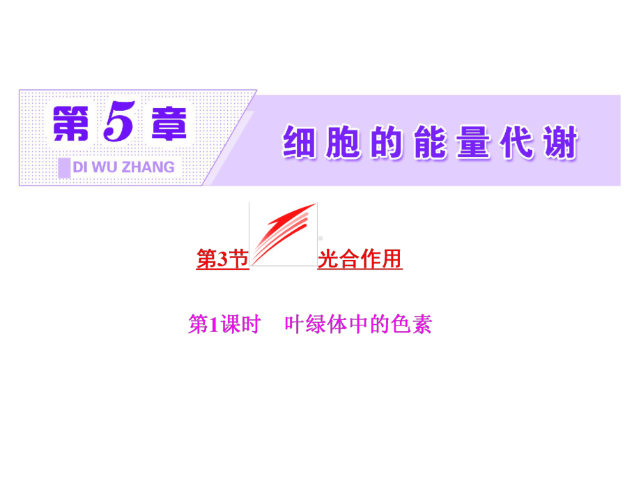 2021高中生物必修一第5章《细胞的能量代谢》课件(4北师大份)3(优秀).ppt_第2页