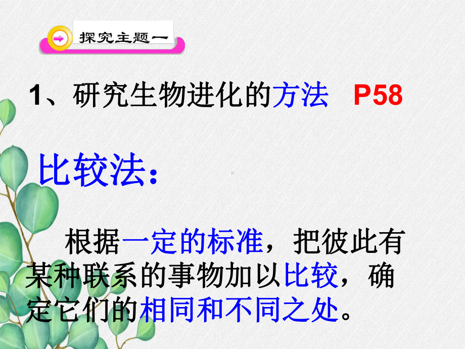 2022年济南初中生物八下《生物进化的历程》公开课课件9.ppt_第3页