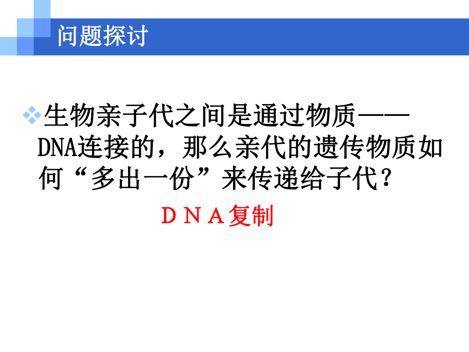 DNA的复制优秀课件.ppt_第2页