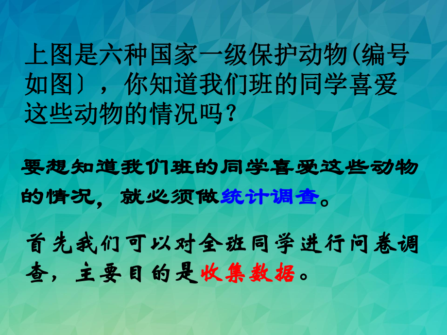 《数据的收集》课件-2022年北师大版七上数学.ppt_第3页