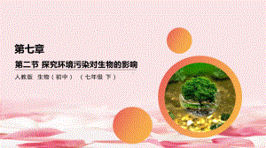 《探究环境污染对生物的影响》课件.pptx