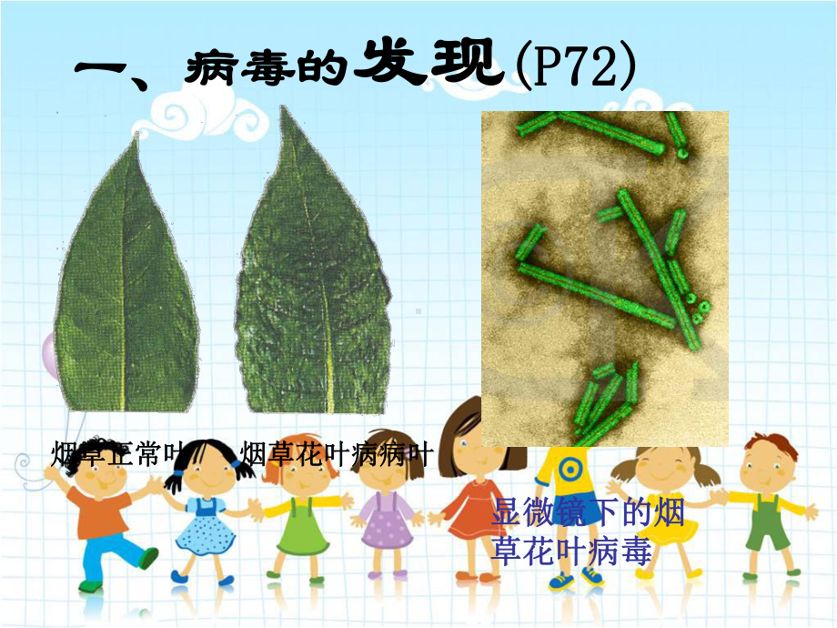 2022年济南初中生物七上《病毒》公开课课件2.ppt_第2页