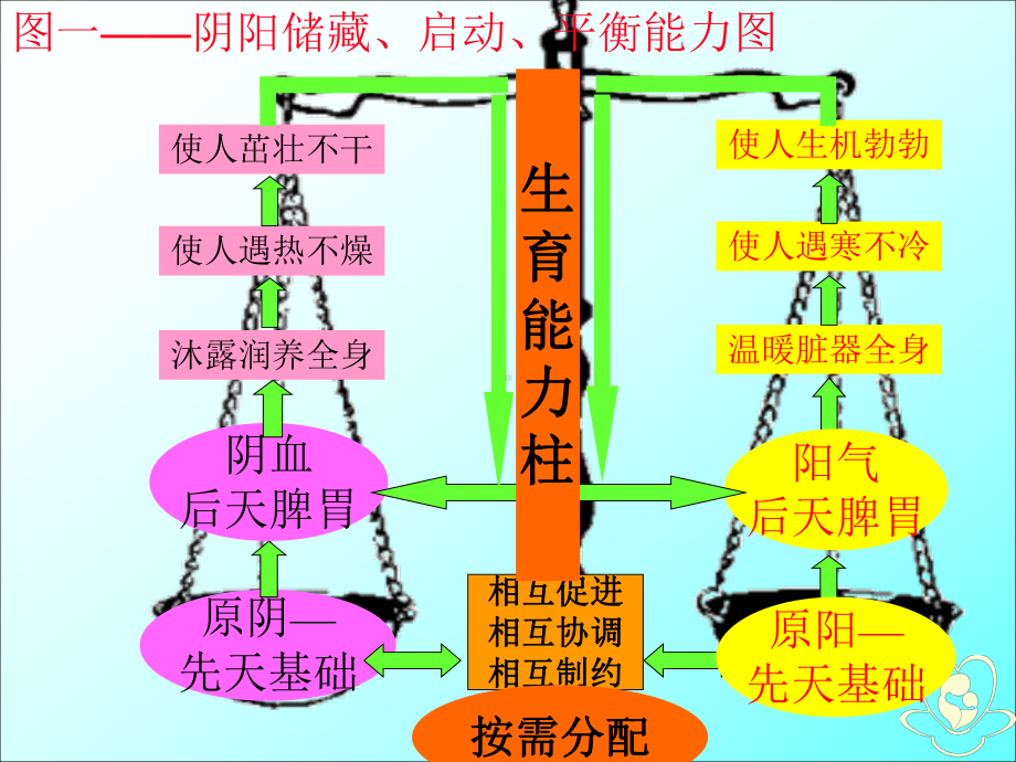 《孕前中医体质保健》课件.ppt_第3页