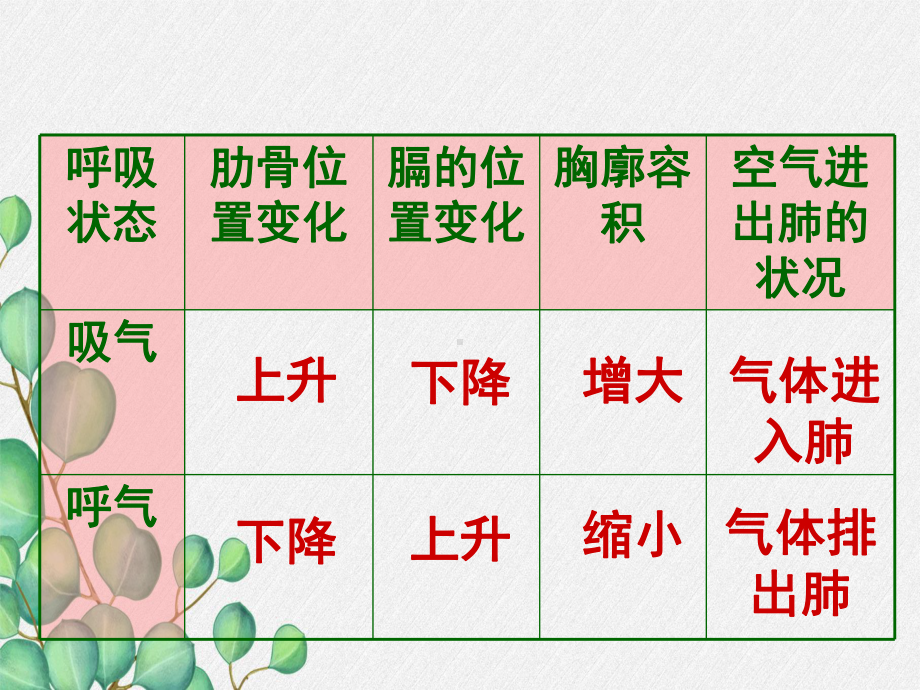 2022年冀教初中生物七下《呼吸》公开课课件2.ppt_第1页