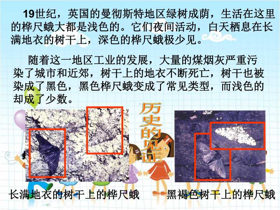 2022年济南初中生物八下《生物进化的原因》公开课课件6.ppt_第1页