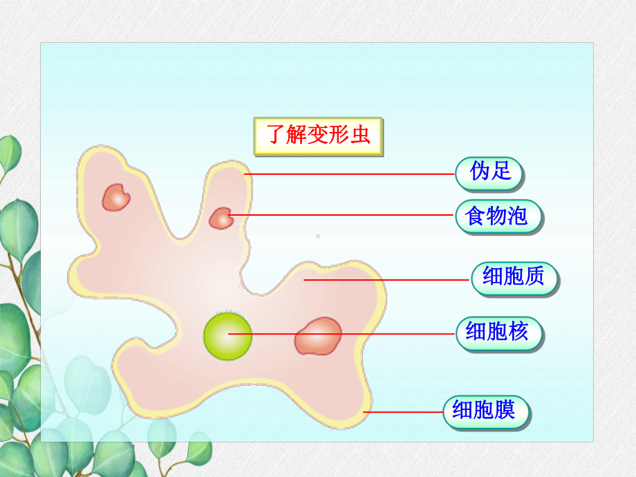 2022年北师大初中生物七年级上册《细胞是生命活动的单位》公开课课件6.ppt_第1页