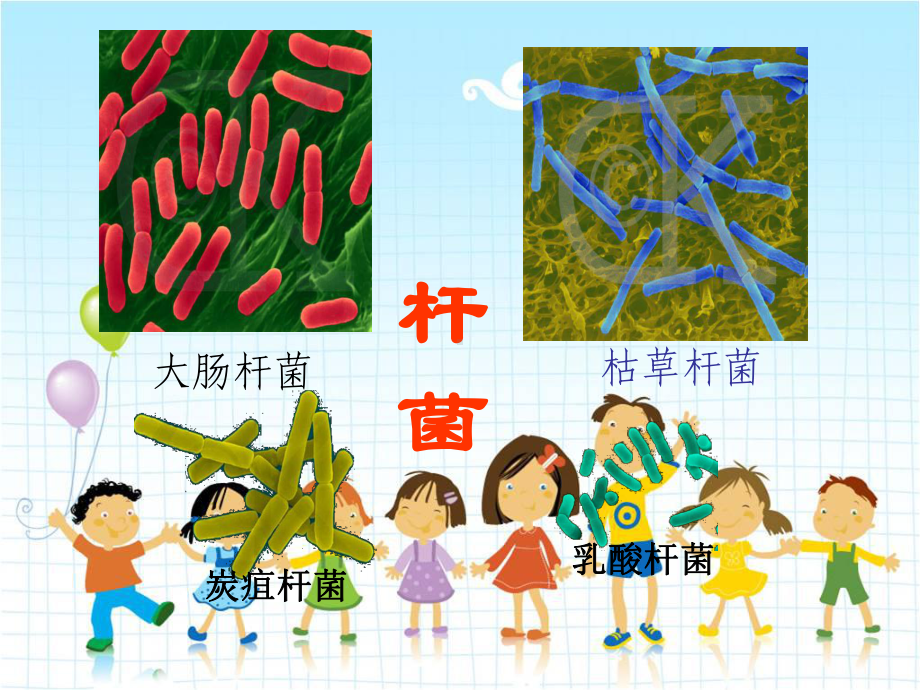 2022年冀教初中生物八上《细菌》公开课课件2.ppt_第3页