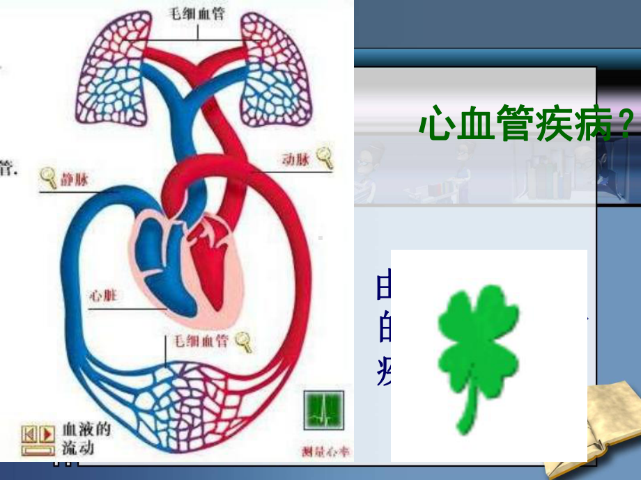 2022年济南初中生物七下《关注心血管健康》公开课课件.ppt_第3页