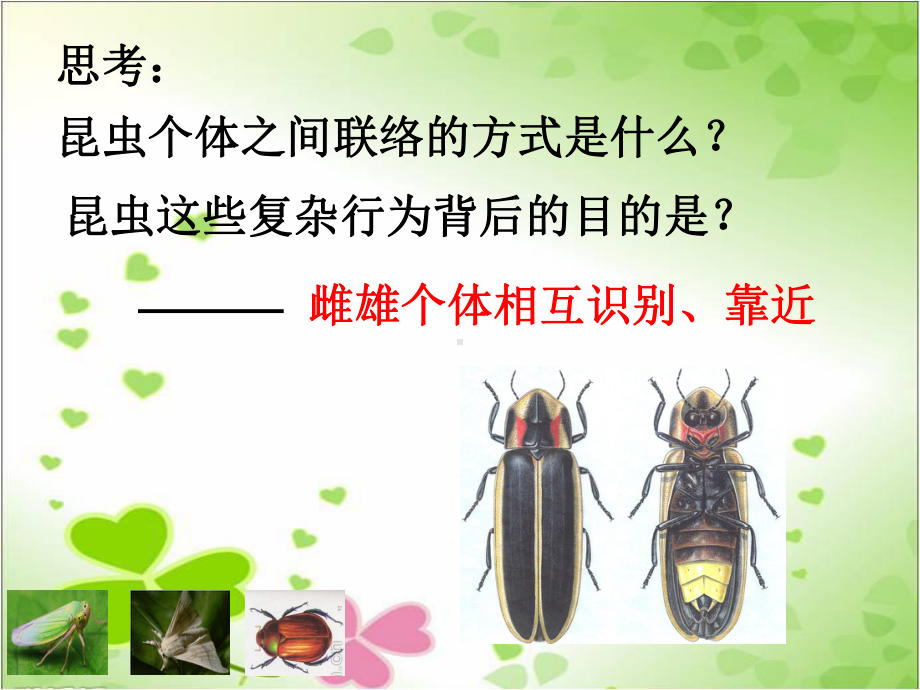 2022年北师大初中生物八年级上册《动物的生殖和发育》公开课课件6.ppt_第3页