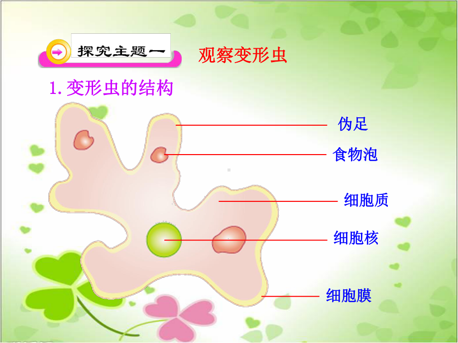 2022年北师大初中生物七年级上册《细胞是生命活动的单位》公开课课件5.ppt_第3页