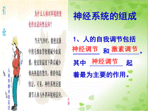 2022年北师大初中生物七年级下册《神经系统与神经调节》公开课课件3.ppt