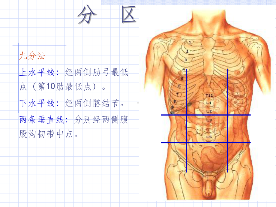 [局部解剖学]临床常用免疫学检查课件-002.ppt_第3页