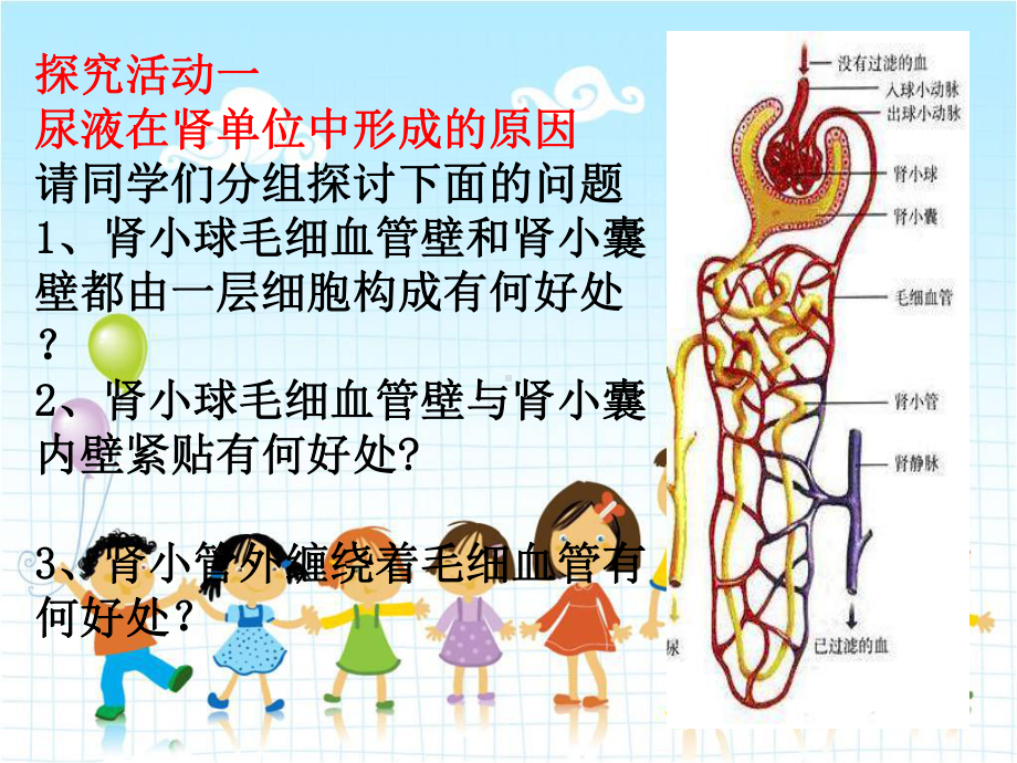 2022年济南初中生物七下《尿液的形成和排出》公开课课件2.ppt_第2页