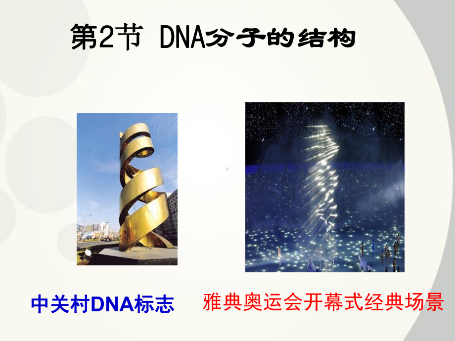 《DNA分子的结构》人教版高中生物课件1.ppt_第2页