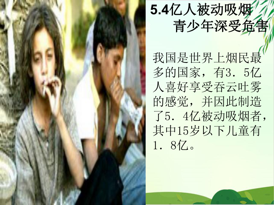 《不和烟酒交朋友》课件｜苏教版11.ppt_第2页